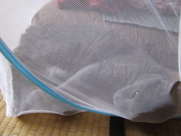 古民家に必要不可欠な蚊帳の中で寝る猫