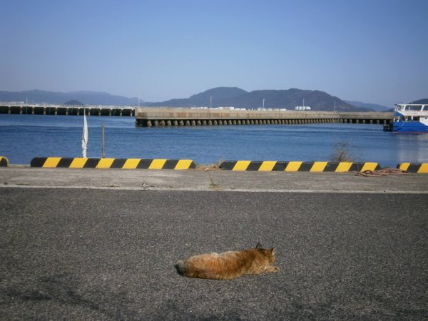 人間魚雷回天と猫の島、大津島へ行ってきた