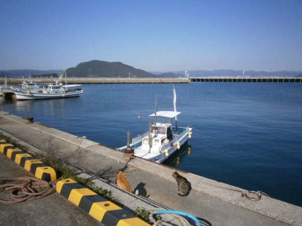 人間魚雷回天と猫の島、大津島へ行ってきた