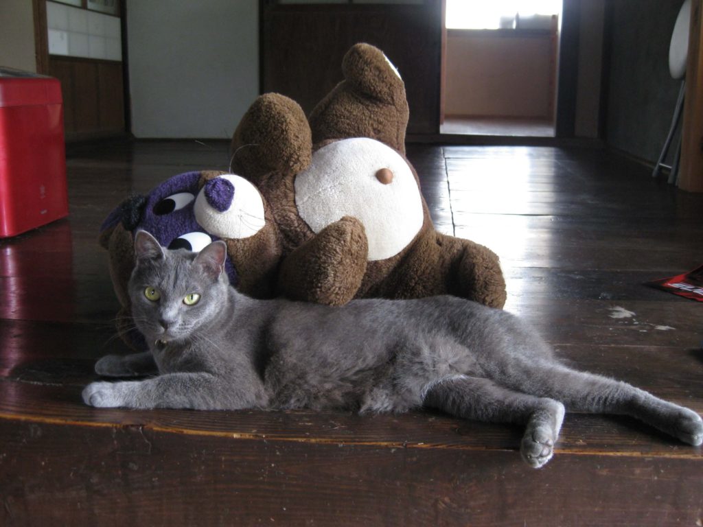 旦那が経費で色々買ったの