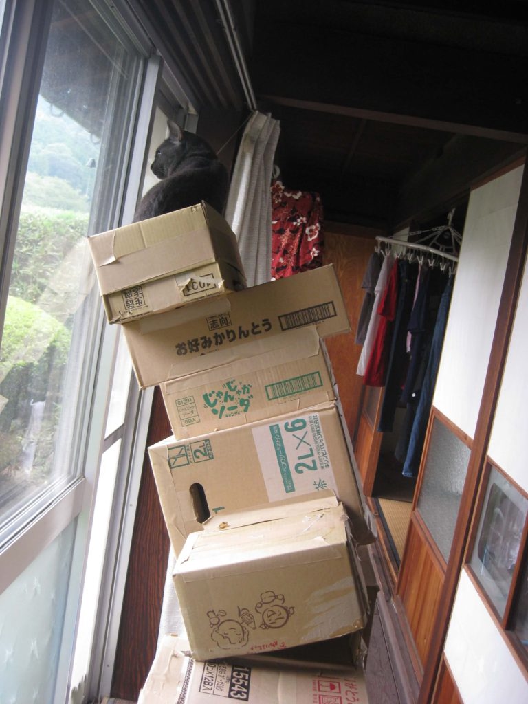 3代目キャットタワー購入。木製　掃除しやすい　毛付着なし