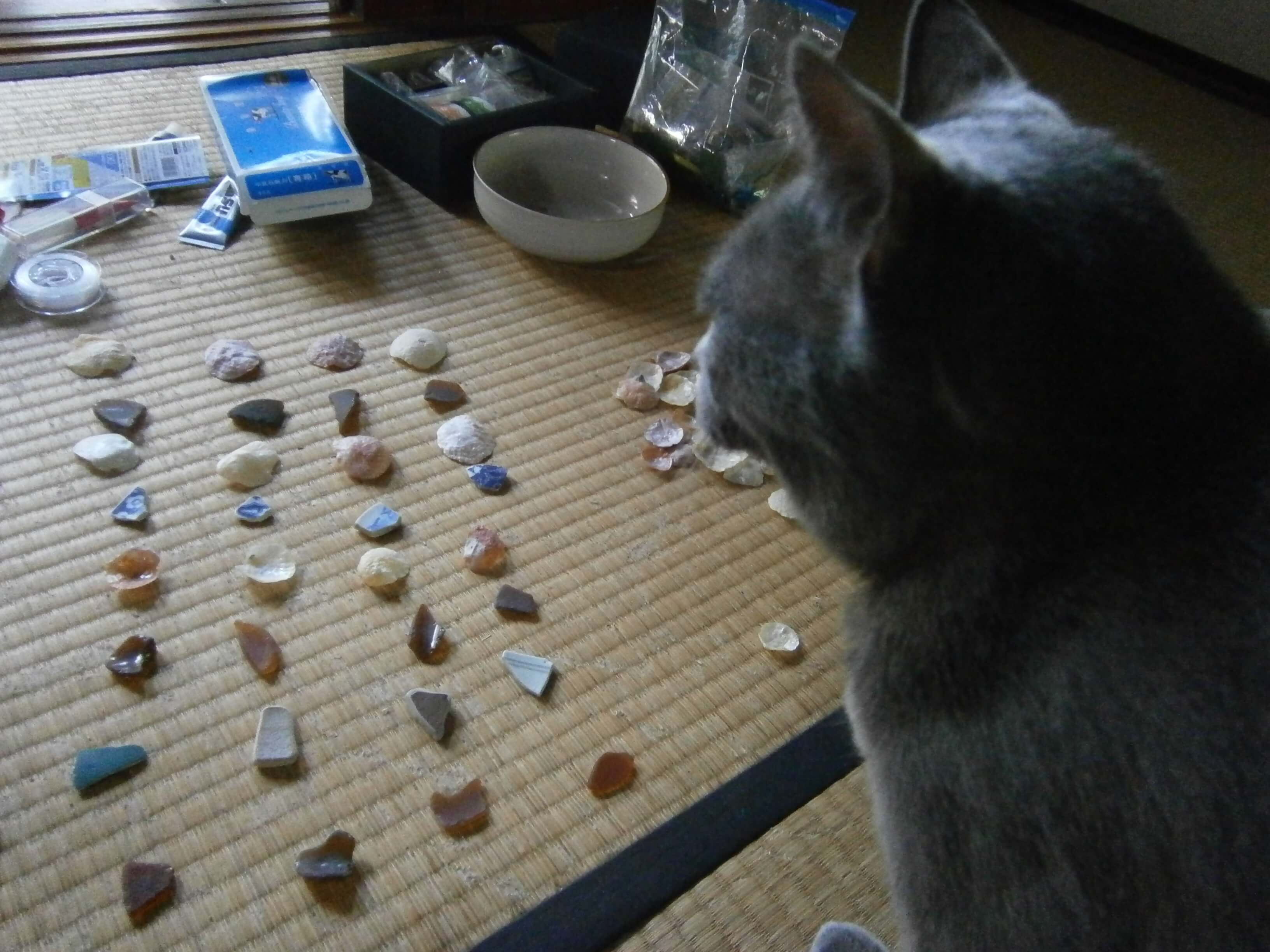 貝殻のウインドチャイムを作ってみました ぷっこ と ししゃも の猫のいる田舎暮らし