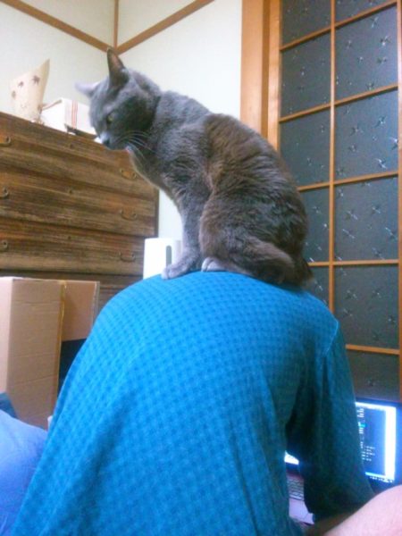 猫背矯正サポーターがスゴイという話。