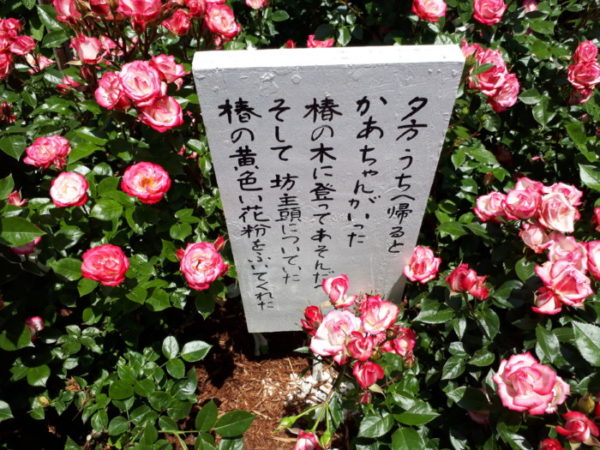 姫路ばら園に行ってきた。