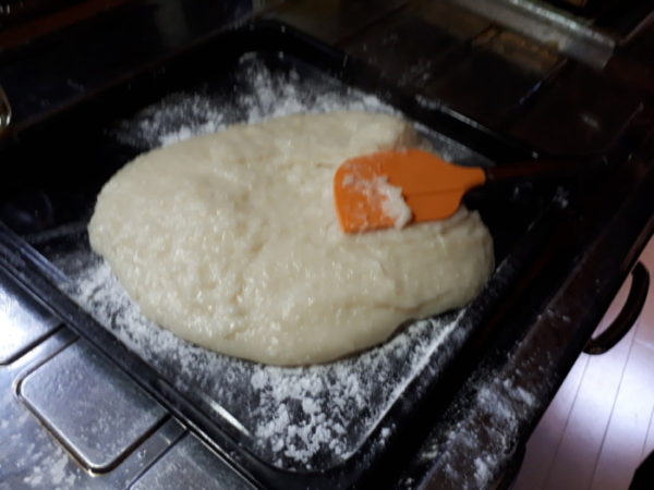 1月も後半だけどsanyoのgopanでお餅作ってみた。
