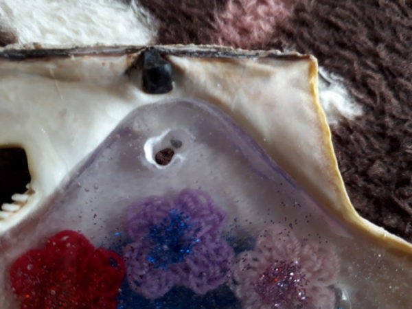ヒオウギガイの貝殻で表札を作ってみた