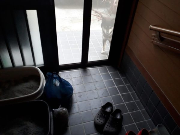 冬の、猫の為の寒さ対策【猫トイレを少しでも快適に】