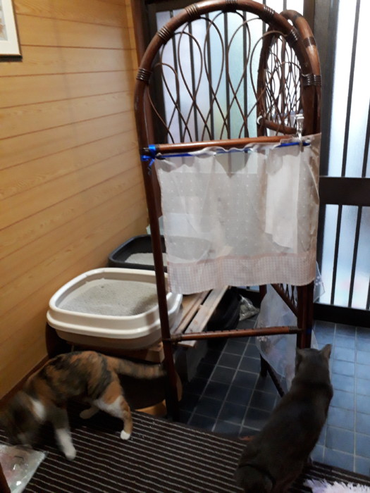 賃貸アパートでの猫トイレ事情【省スペース&目隠し(？)】