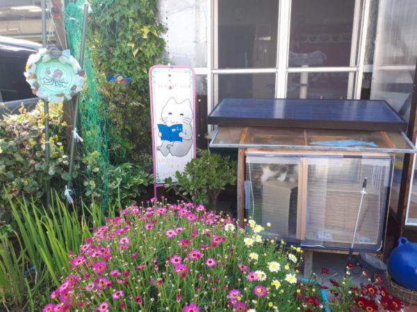 カオスなお庭に飾る、猫の看板をDIY【古看板をリメイク】