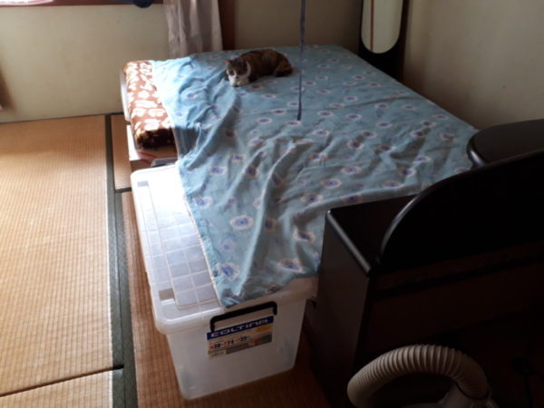 シングルサイズのベッドをダブルサイズにリメイク【DIYでしかも低コストで】