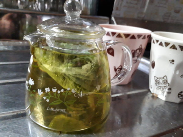 家庭菜園のハーブ&薬草をお茶に【レモンバームとヒュウガトウキ】