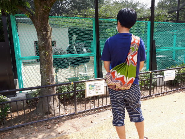 動物園の象さんを見て悲しくなった話。【姫路市立動物園のアジア象の姫子さん】
