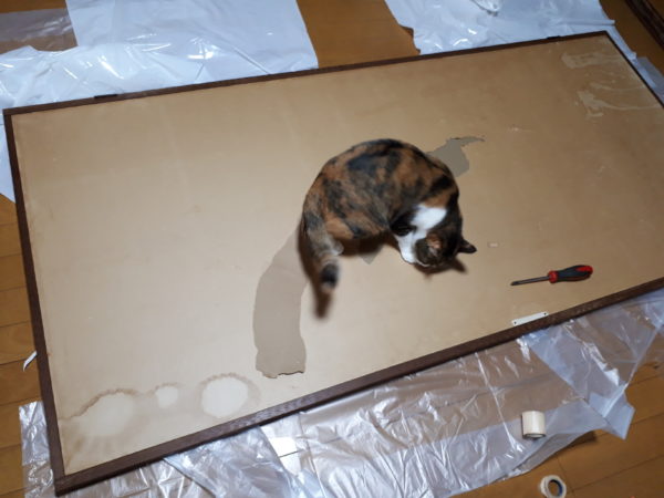 襖の張り替えやってみた・その2【デンプン糊で、猫の絵柄を貼ってみた】岡本肇の猫のカレンダーを襖に貼る