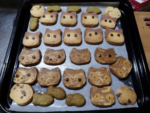 野菜パウダーで色付けして、灰色猫と黄色猫とサビ猫と縞三毛猫のアイスボックスクッキー作ってみた