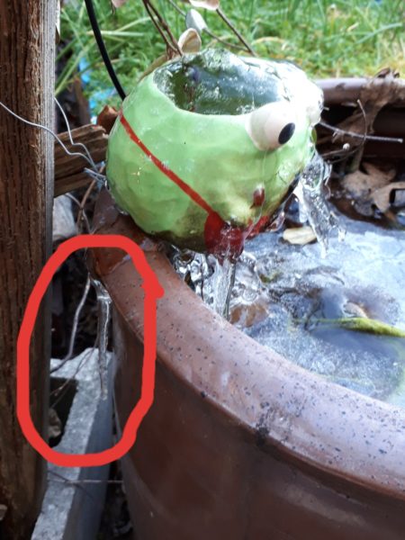 寒くて凍る睡蓮鉢とDIYしたカエルの噴水から垂れるつらら