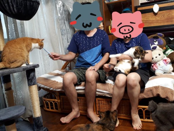 夫婦と猫４匹の家族写真