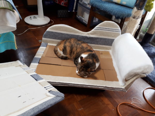 高齢シニア義弟まめちゃんの為に猫用ソファを手作りしてみた・その3【段ボールと100均商品でDIY】