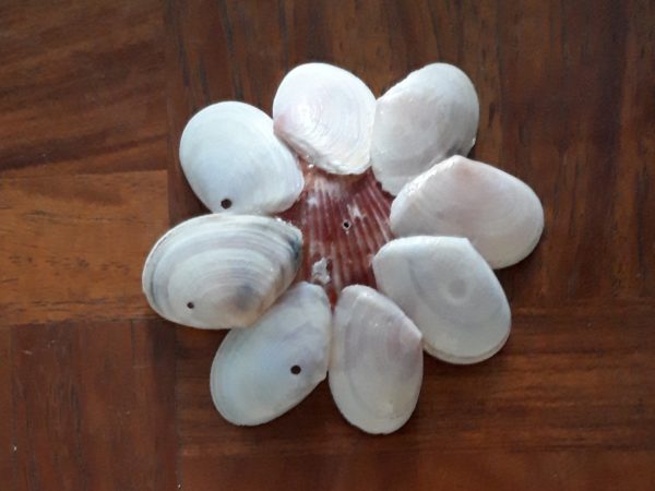 ホタテ、さくら貝、ナミマガシワ、貝殻とシーグラスで、クラゲっぽいウインドチャイムを手作りしてみた