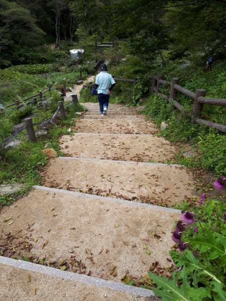 六甲山高山植物園2022.9月
