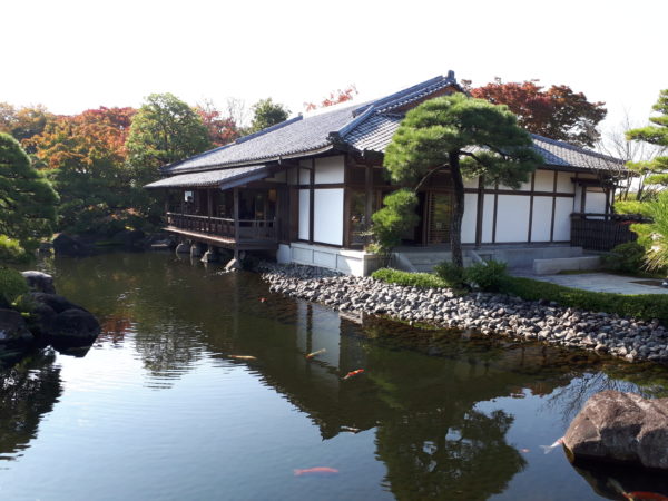紅葉を見に姫路城の好古園に行ってきた。