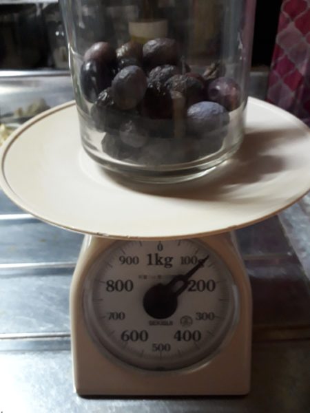 鉢植えのオリーブの実が採れたので、塩漬けにしてみた。