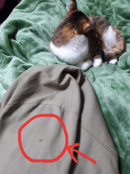 一張羅の服のシミをダーニングで隠す　猫モチーフ