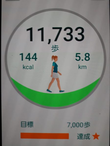 夜のラーメンとお酒 ダイエット 散歩 なかったことにしたい