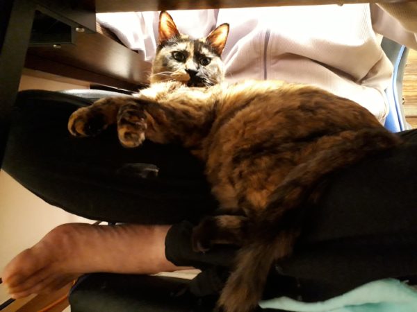 何か治りにくい?そして増える発疹=帯状疱疹!?年齢関係無くご注意を