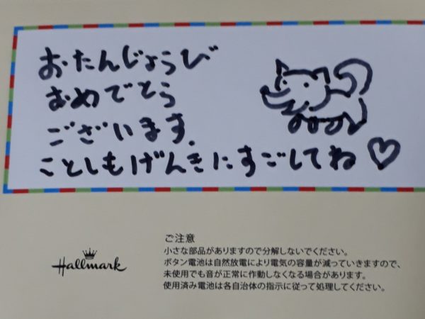 最近のネコとヒト。