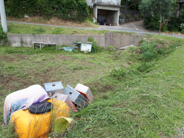 『オラの畑が一番や(°▽°)』の一方で、テキトー万歳な我が家の家庭菜園。