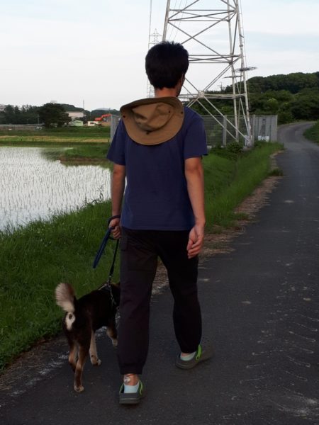 両目とも失明した黒柴犬の大ちゃん。盲目でも散歩はできます