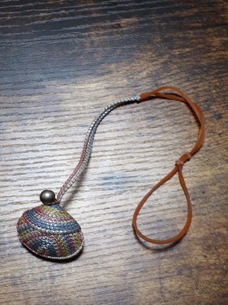 両目とも失明した黒柴犬の大ちゃん。盲目でも散歩はできます