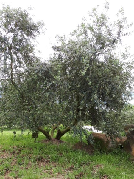 穴場の観光地を巡った、岡山行きのバス旅行。