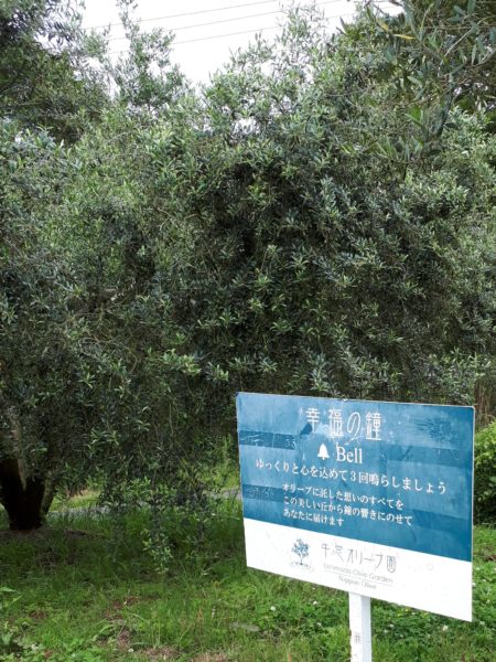 穴場の観光地を巡った、岡山行きのバス旅行。