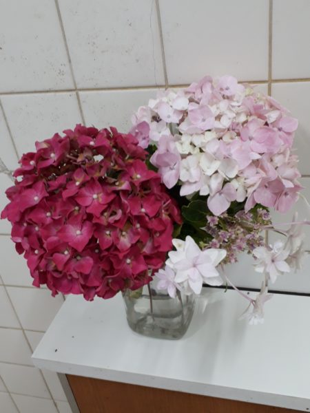 穴場の観光地を巡った、岡山行きのバス旅行。