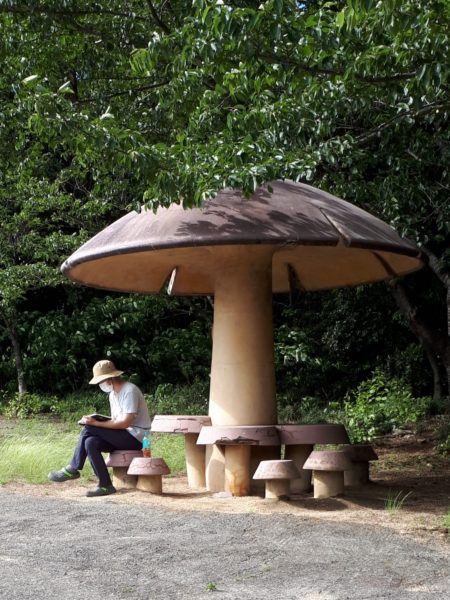 穴場の観光地を巡った、岡山行きのバス旅行。