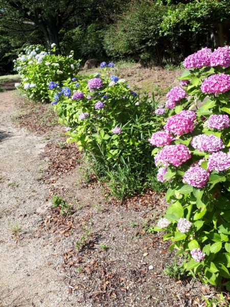 穴場の観光地を巡った、岡山行きのバス旅行。