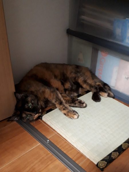 穴場の観光地を巡った、岡山行きのバス旅行。