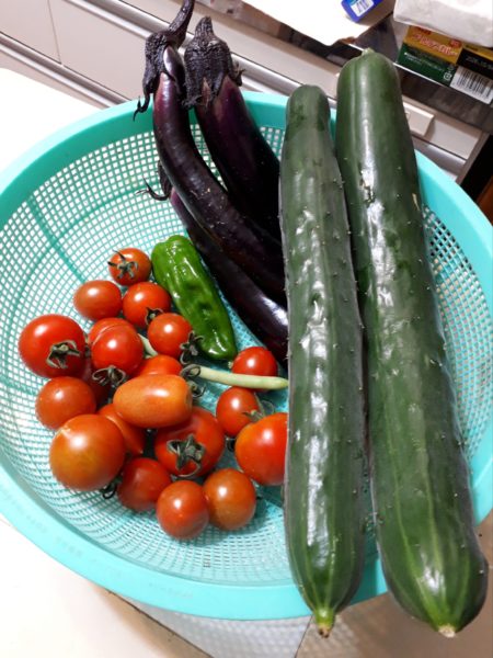 『オラの畑が一番や(°▽°)』の一方で、テキトー万歳な我が家の家庭菜園。