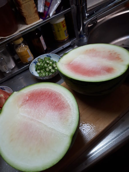 2025年のぷっコーンの収穫と、スイカ太郎の早産。