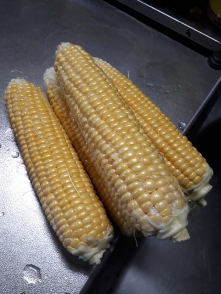 2025年のぷっコーンの収穫と、スイカ太郎の早産。