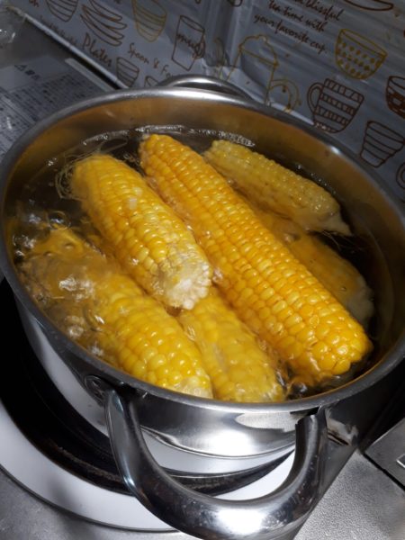 2025年のぷっコーンの収穫と、スイカ太郎の早産。