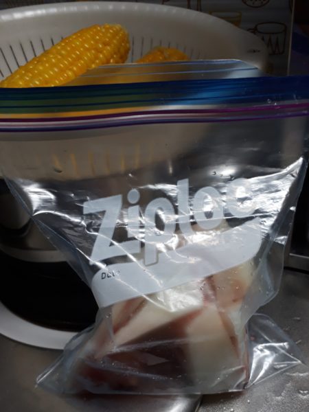 2025年のぷっコーンの収穫と、スイカ太郎の早産。