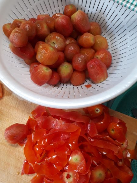 採れ過ぎて嬉しい悲鳴？夏野菜の大量消費を考えてみた。