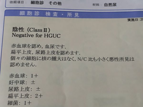 (それなりの)努力の賜物？コレステロール値下がった