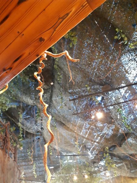 やっぱり暑かった!和歌山への日帰りバス旅行。