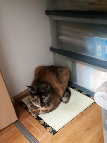 やっぱり暑かった!和歌山への日帰りバス旅行。