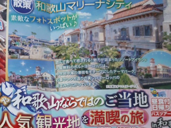 やっぱり暑かった!和歌山への日帰りバス旅行。