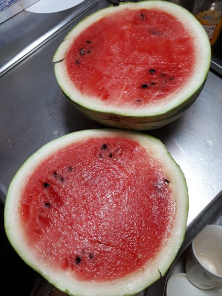 酷暑?と憎きカラスのせいで、スイカが壊滅状態に