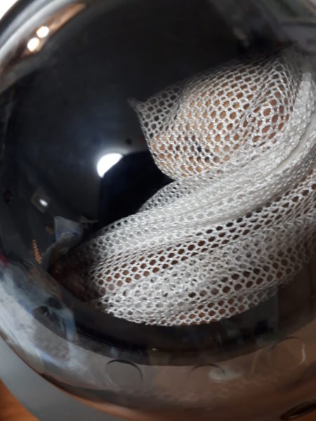 黄色猫きなこ15歳人だと76歳、誕生日、結膜炎